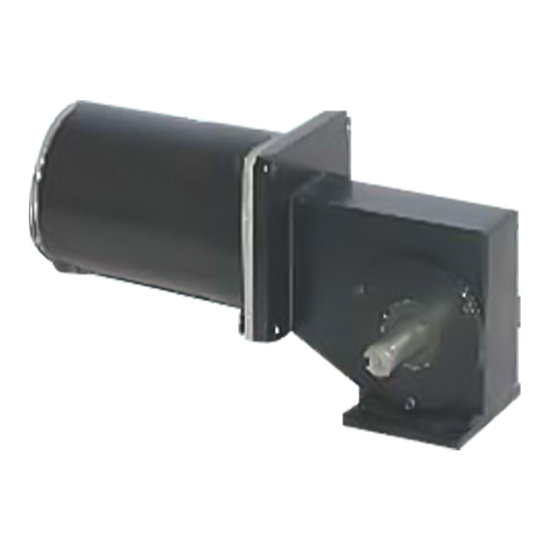 90JW/83zy125 2000-3000 rpm permanenteng magnet brushed worm gear motor