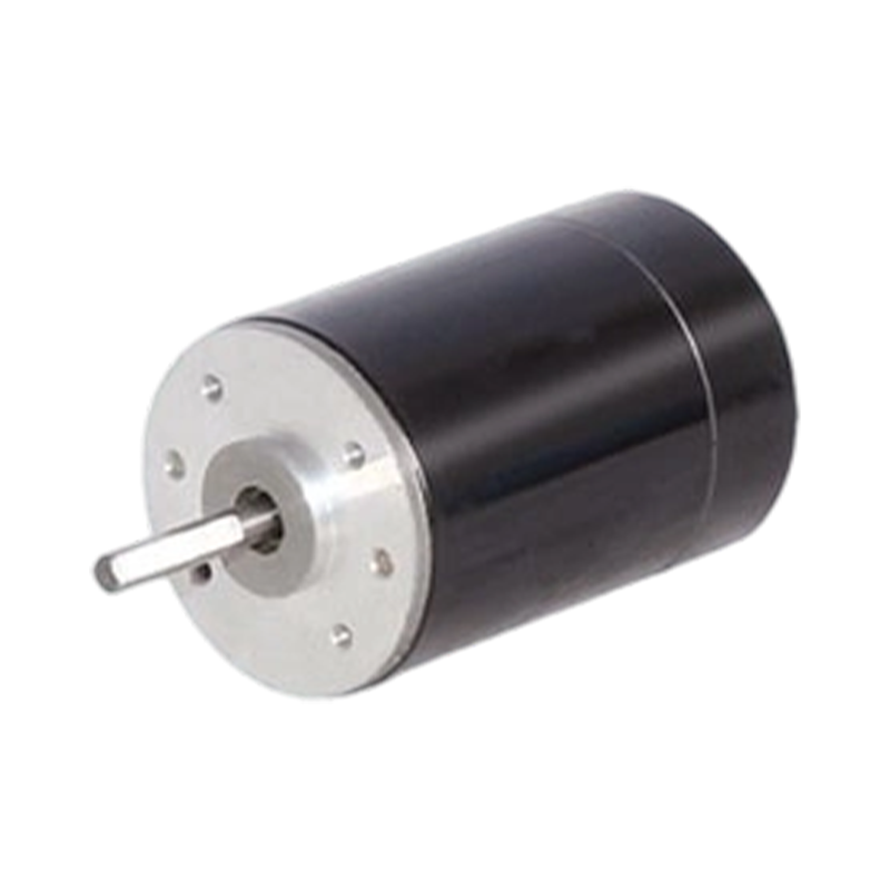 38zy63 38mm 24V/48V permanenteng magnet brushed DC motor