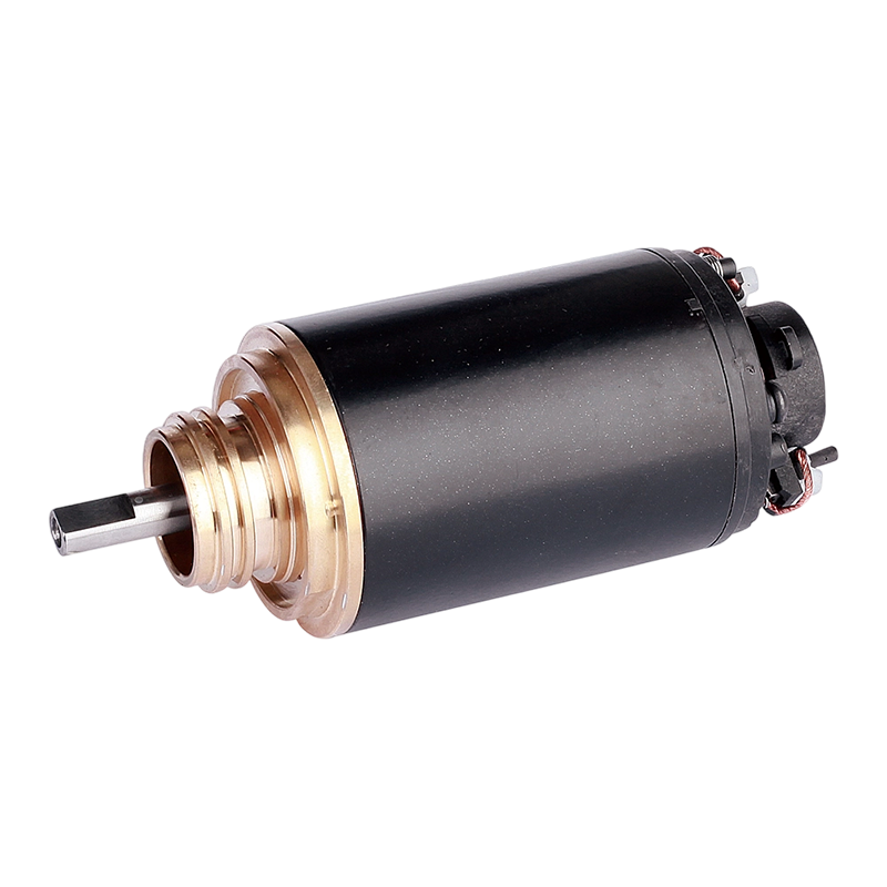 63zy Brass Flange Swimming Pool Robotic Cleaner DC Electric Pump Motor