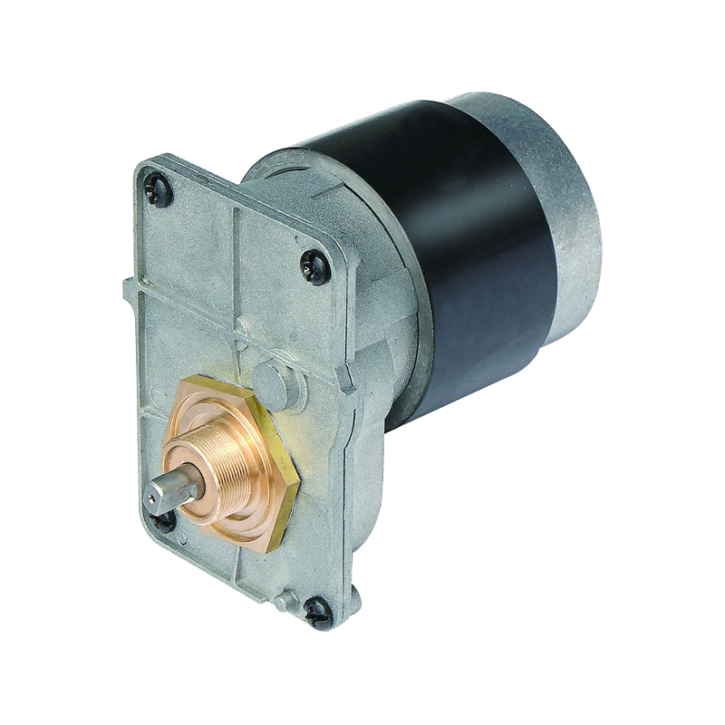 63mm hindi tinatagusan ng tubig na corrosion-resistant DC gear motor para sa mga robot sa paglilinis ng pool