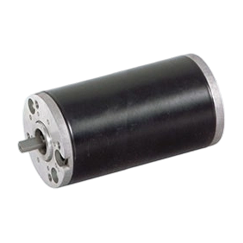 63zy125 63mm mataas na antas ng proteksyon permanenteng magnet brushed DC motor