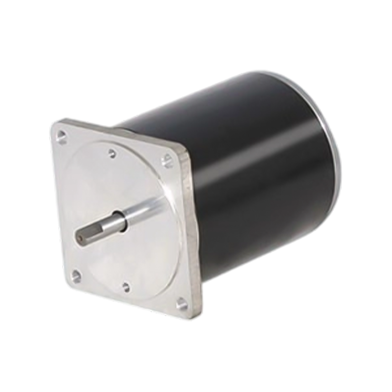 80zy100 80mm 12V/24V permanenteng magnet brushed DC motor